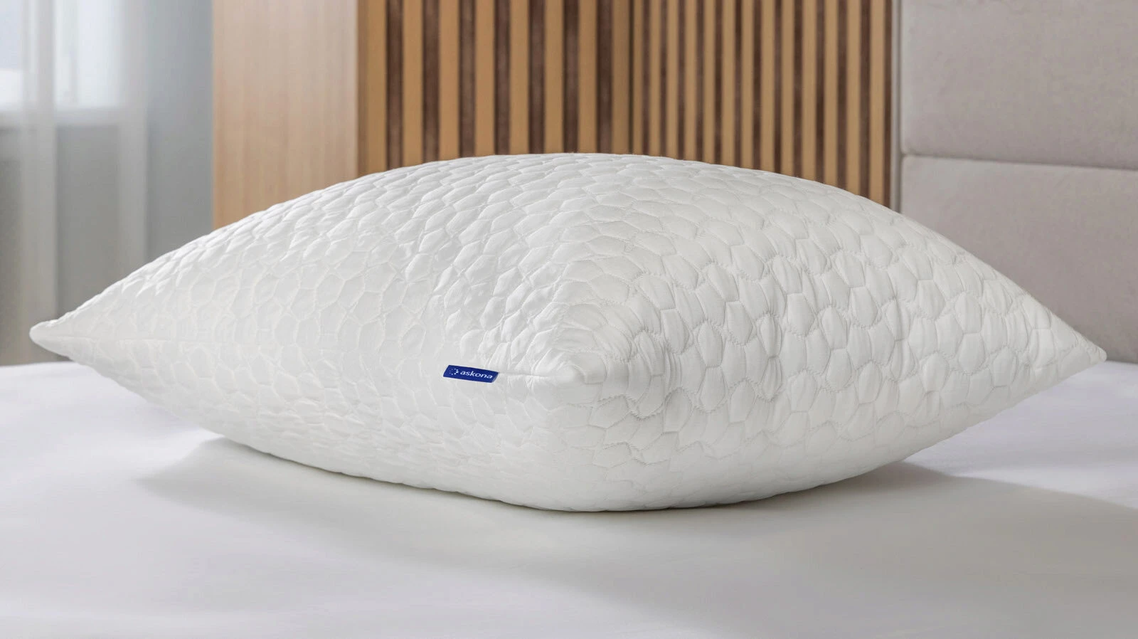 Protect-a-Pillow Arctic Plus 