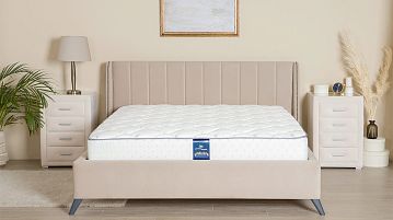 Serta Sanders